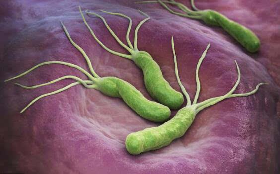 急性鼻炎和慢性鼻炎的区别:xc sports(图1) xc sports