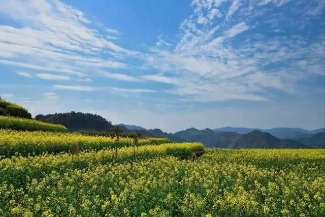 ‘xc体育’李彦宏放出智能化大绝招,普惠AI时代加速到来(图4) xc sports