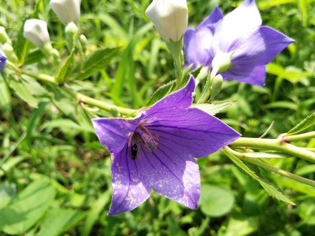 xc sports:旷视科技:对美国商务部把公司纳入实体清单表示强烈抗议(图1) xc sports