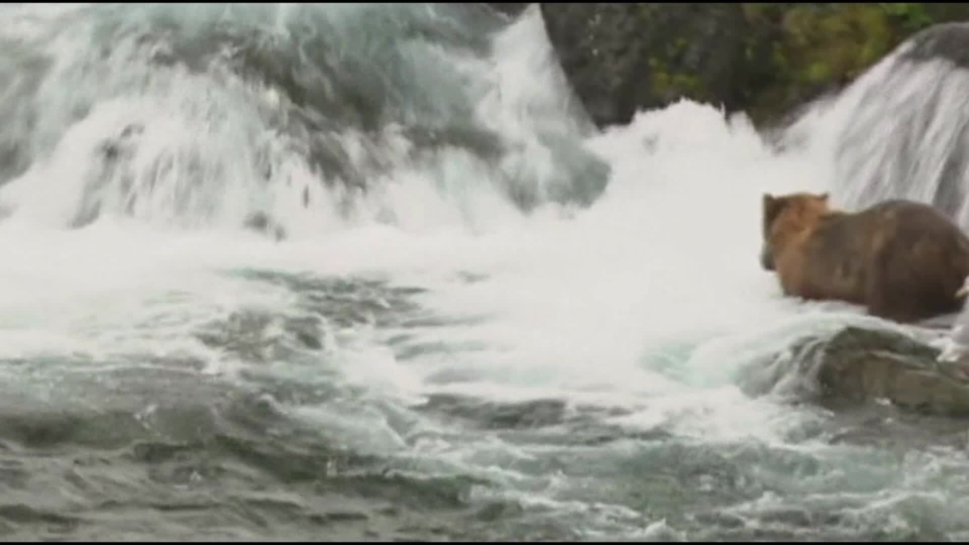 xc sports|首次高考作文“人机大战”:胜者将获得100万美元奖金(图3) xc体育