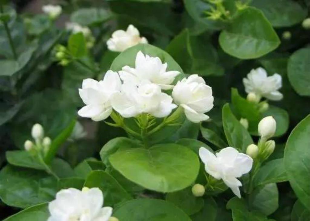 “xc体育”Lady Gaga发文呼吁:面对病毒不能有偏见(图3) xc体育