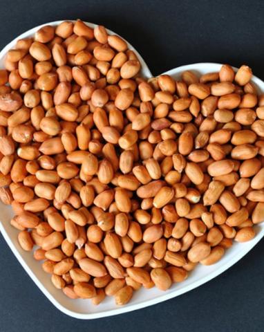 发改委最新《行动计划》聚焦高端医疗器械等九大重点领域:xc sports(图1) xc sports