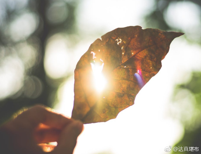 痛经是什么引起的痛经可以治愈吗:xc sports(图1) xc体育