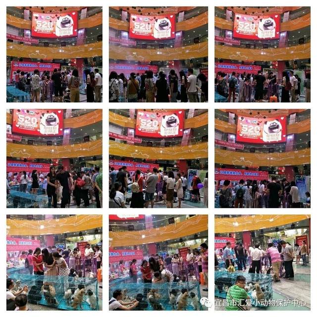 机器人生产机器人效率提升达5.5倍【xc sports】(图3) xc体育