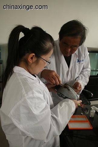 xc sports-普瑞斯星(常州)医疗器械有限公司(图4) xc sports