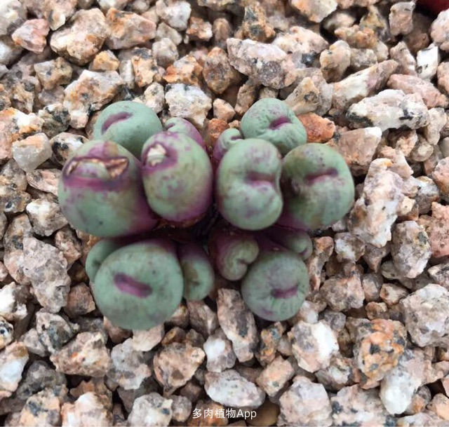 xc体育_江西遂川光伏扶贫项目惠及10000贫困户(图1) xc sports