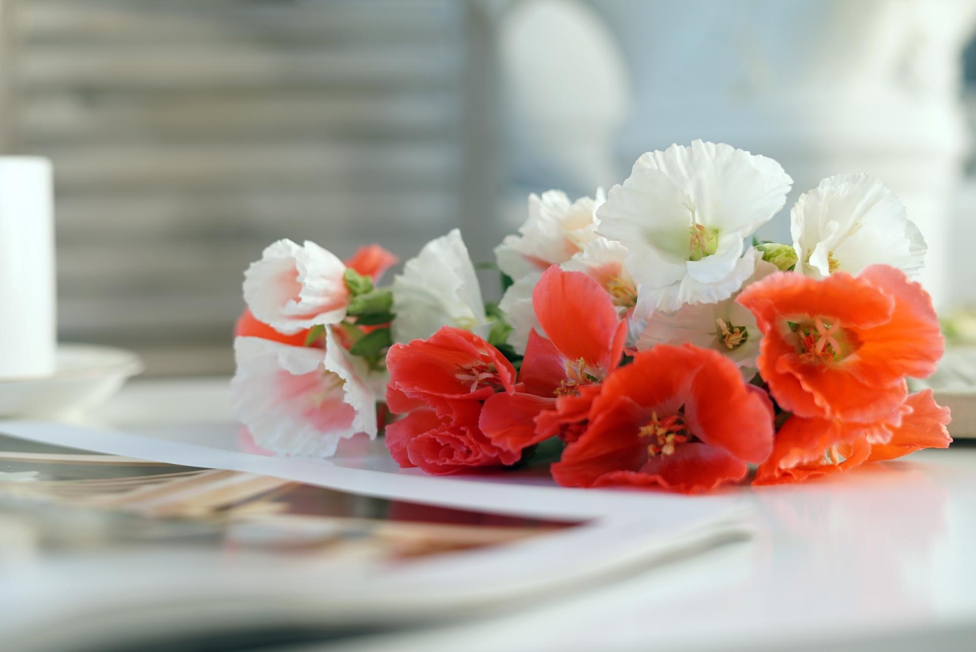 xc sports_关于2017年全国篮球高水平后备人才基地U15比赛决赛裁判员安排的通知(图1) xc sports