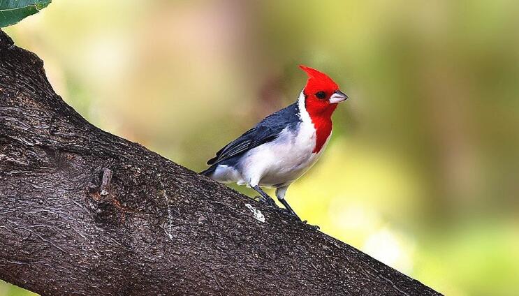 成都中科甲状腺医院治疗甲亢怎么样:xc sports(图3) xc体育