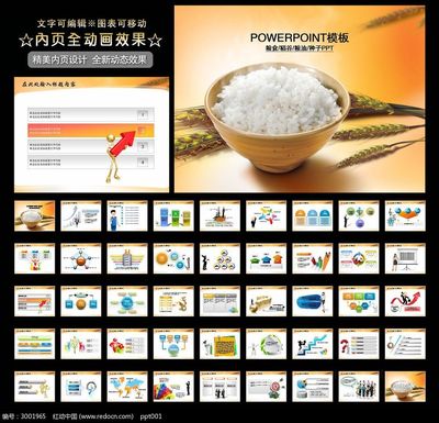 双国家队建制是利OR弊?姚明督战却亲眼目睹惨败|xc体育(图1) xc sports