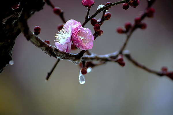 云南白斑医院介绍怎么规范治疗白癜风_xc体育(图2) xc体育