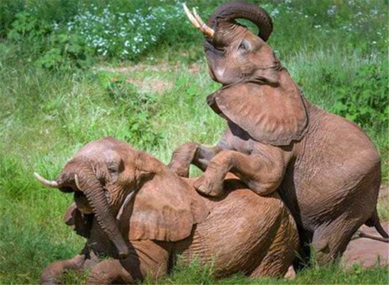 “xc体育”葛优谈演员番位是怎么回事 葛优谈演员番位说了什么(图2) xc sports