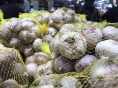 【xc sports】粤媒:广东两将需求冷静反思 不应该单打蛮干(图1) xc sports